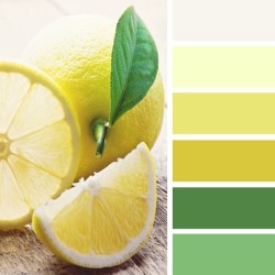 ترکیب رنگی با الهام از لیمو